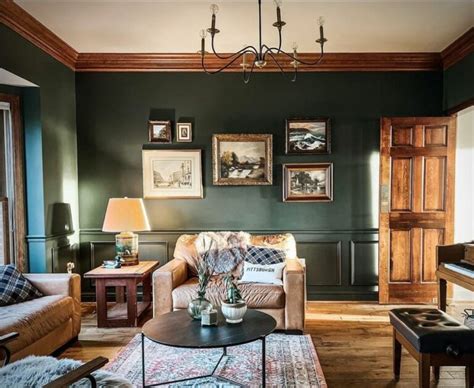 Sherwin Williams Ripe Olive Sw 6209 Review And Inspiration