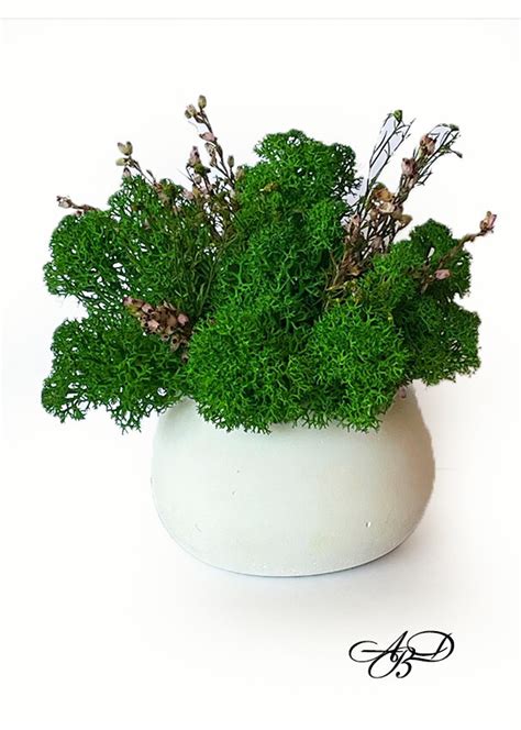 Scandinavian Moss And Ferns In A Round Planter