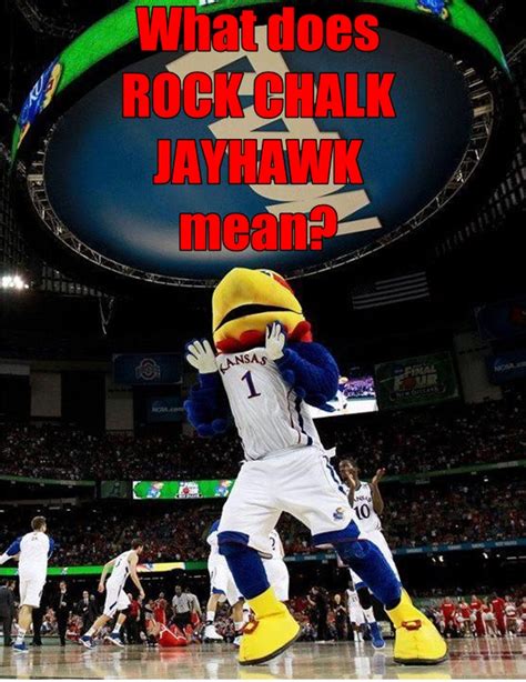 What Does Rock Chalk Jayhawk Mean? - Kansas Jayhawks