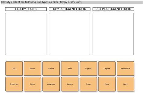 SOLVED: Classify each of the following fruit types as either fleshy or dry fruits. FLESHY FRUITS ...