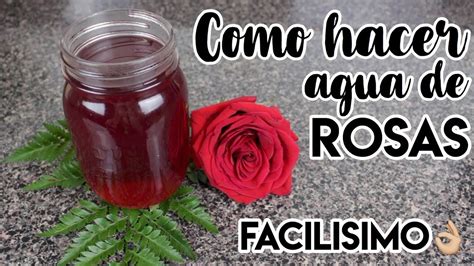 COMO HACER AGUA DE ROSAS DEMASIADO FACIL YouTube