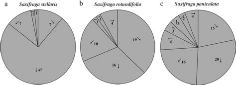 Orientation of the initial stamen for stamen movement in flowers ...