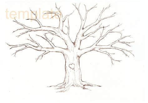 Tree Without Leaves Sketch At Explore Collection