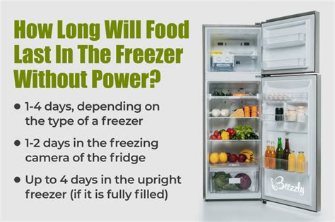 How Long Can Food Last In The Freezer Without Power Beezzly