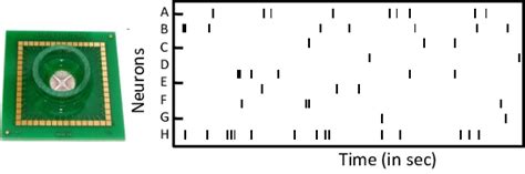 Illustration Of A Micro Electrode Array Mea Used To Record Spiking