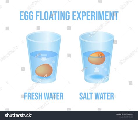 2,387 Egg Floating Water Images, Stock Photos & Vectors | Shutterstock