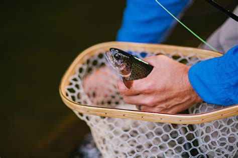 Ultimate Siskiyou Fishing Adventure - Discover Siskiyou