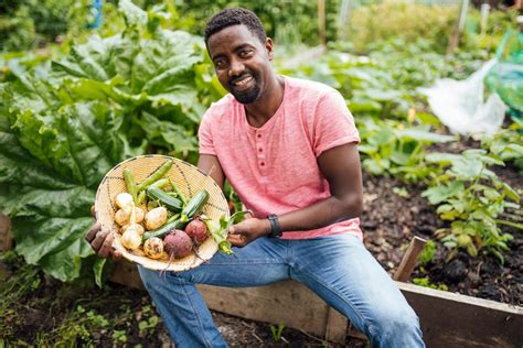 Community Gardens Are Growing Health Food And Opportunity