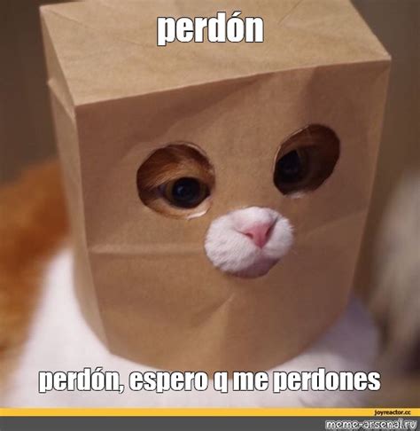 Meme perdón perdón espero q me perdones All Templates Meme