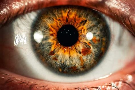 Fatos Sobre Olhos Verdes A Cor De Olhos Mais Rara Do Mundo