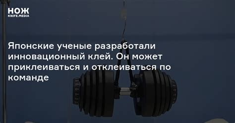 Японские ученые разработали инновационный клей. Он может приклеиваться ...