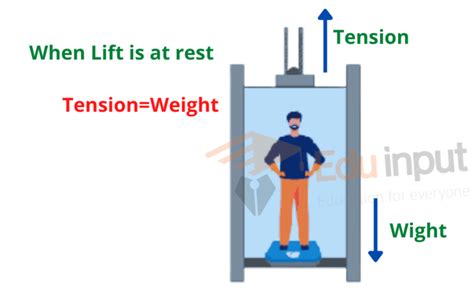 Real and Apparent Weight- Definition and Example