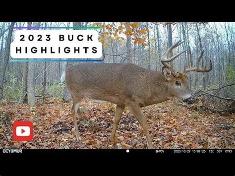 2023 Whitetail Buck Rundown : r/HuntingCamp