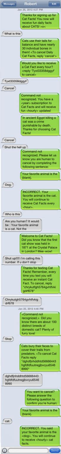 Cat Facts Meme By Fhl09 Memedroid