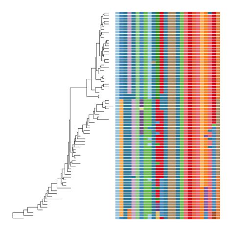 Visualizing And Annotating Phylogenetic Trees With R Ggtree