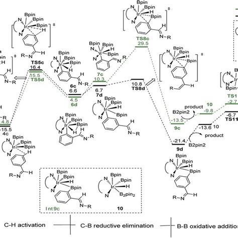 Energy Profile Of Path Iii In The Borylation Of Aromatic Imine