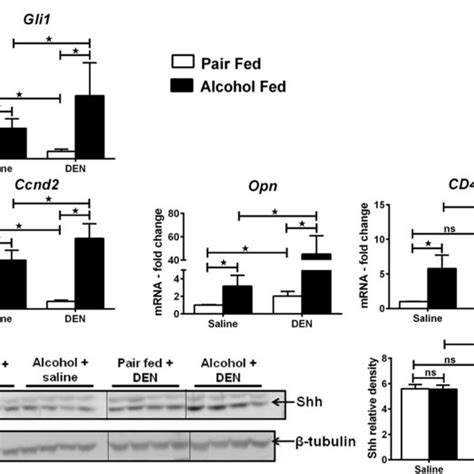 Up Regulation Of Hedgehog Signaling In Experimental Hcc Model A