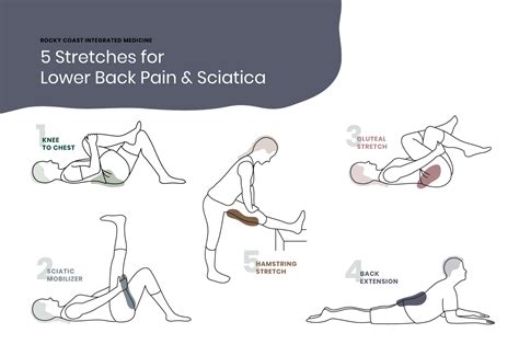 Stretches for Lower Back Pain and Sciatica | Rocky Coast Integrated ...