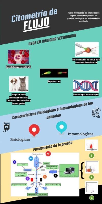 Citometría De Flujo