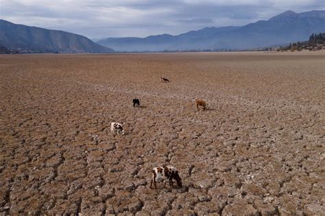 Cop27 La Onu Sugiere A Los Países Más Afectados Por El Cambio