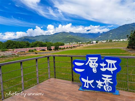 台東景點│二層坪水橋：美不勝收的波斯菊花海風情 台東旅行趣