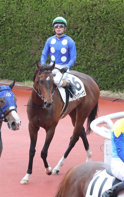 【新谷の土曜競馬コラム・新潟12r】 日刊ゲンダイ競馬