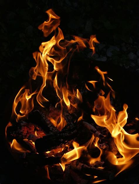 Fire Flame Bowl Wood Free Photo On Pixabay