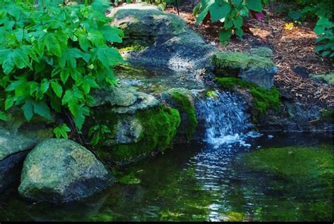 Botanica- Wichita, KS [853x574] [OC] : r/EarthPorn