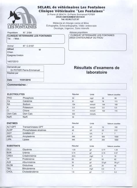 Médecine Clinique Vétérinaire les Fontaines