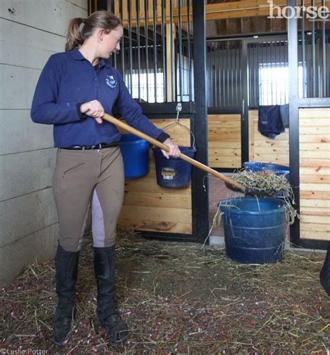 The Muck Out Workout In 2024 Stall Cleaning Horse Stables How To