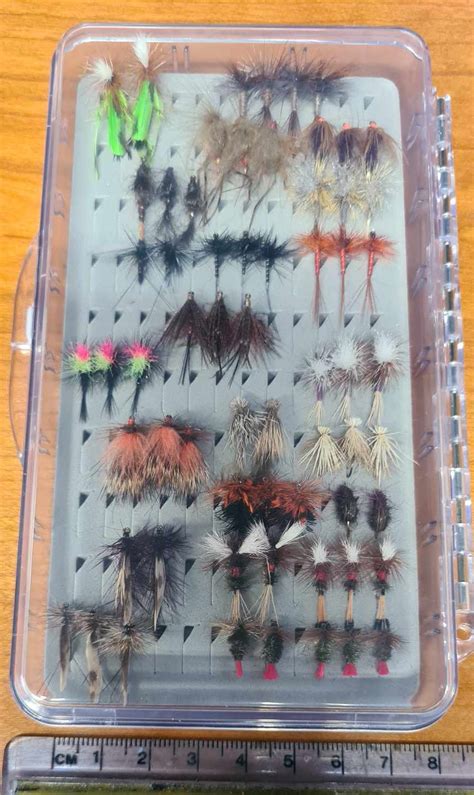 Assorted Tasmanian Dry Trout Flies In A Single Sided Clear Fly Box