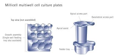 Millicell Plates Life Science Research Merck