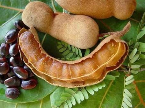 Pin on My... Kerala God's Own Country