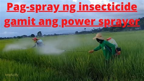 Pag Spray Ng Insecticide Gamit Ang Power Sprayer YouTube