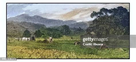 1,569 Farm Paintings Stock Photos, High-Res Pictures, and Images - Getty Images