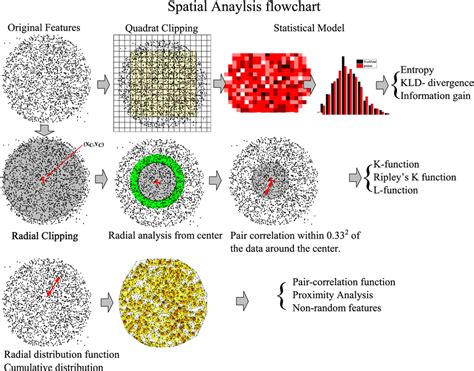 Flowchart Of The Spatial Data Analysis Download Scientific Diagram