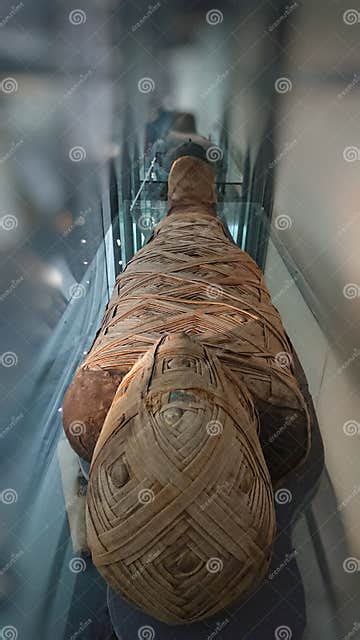 Real Ancient Egyption Mummy Cairo Closeup Editorial Photography Image Of Real Mummy 167900217