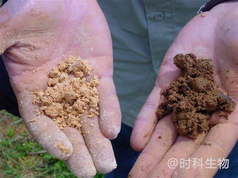 土壤酸化了我们该怎么办呢？时科生物科技（上海）有限公司