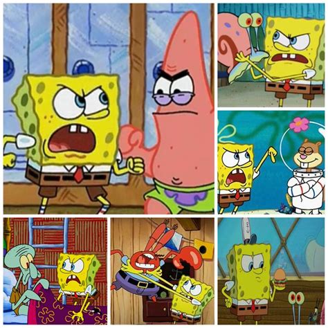 Spongebobs Hilarious Collage Of Friendships