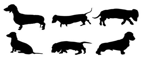 Wiener Dog Vector Art, Icons, and Graphics for Free Download