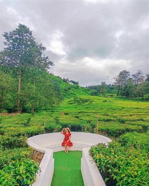 Piknik Seru Di Ecopark Curug Tilu Rancabali Di Ciwidey