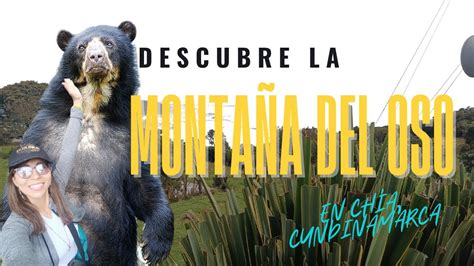 Conoce La Monta A Del Oso Naturaleza Y Aventura En Ch A Cundinamarca