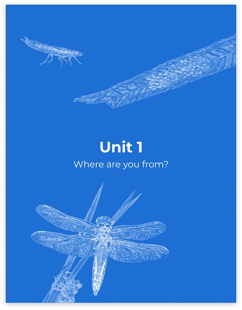 core curriculum sample grade