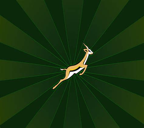 Springboks Rugby South African Hd Wallpaper Peakpx