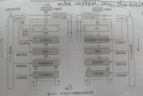 Nr基础2 物理信道和物理信号ssb 轮流发送 Csdn博客