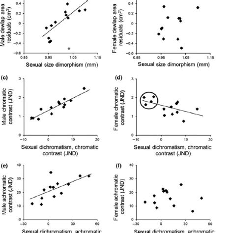 A Male Chromatic Contrast Log Transformed Against Relative Dewlap