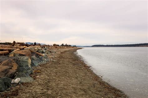 11 Most Beautiful Beaches In Victoria Bc Traveling Bc