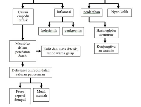 Sumber Ilmu Askep Kolelitiasis Batu Empedu