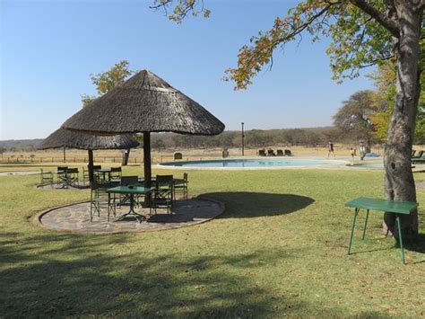 Hwange Safari Lodge Updated 2017 Prices And Reviews Hwange National Park Zimbabwe Tripadvisor