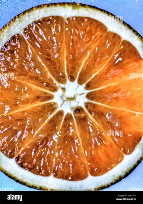 Orange Cut In Half Stock Photo Alamy